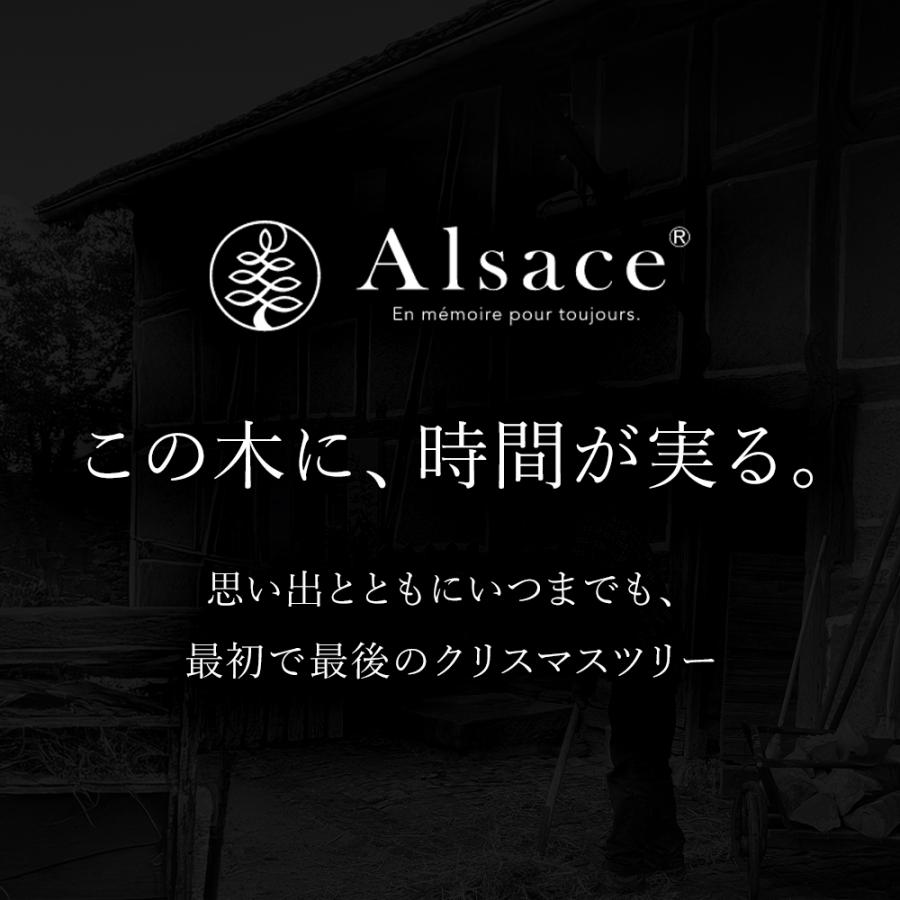 【公式 Alsace(R) 正規品】業務用 Alsace(R)公式 正規品 クリスマスツリー 360cm 豊富な枝数 2026ver. 樅 高級 ドイツトウヒ ツリー オーナメント なし アルザス | Alsace | 13