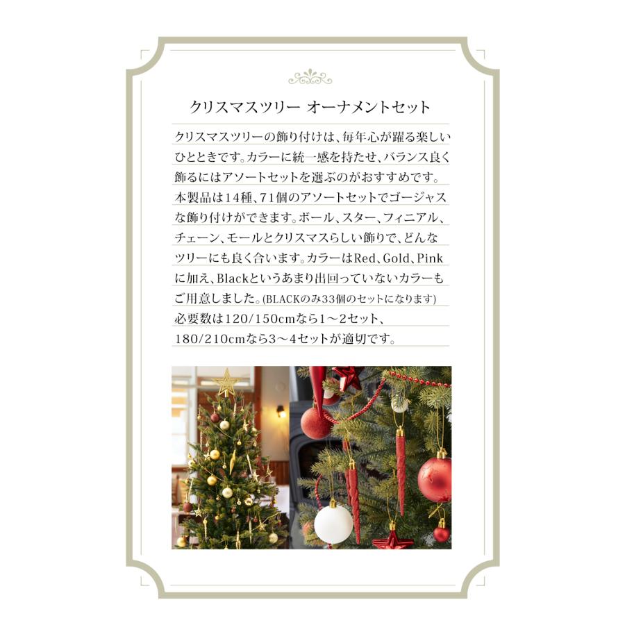 完売　　　天然野生＊とてもダイナミックな森の可愛い柊さん【柊＊クリスマスツリー】 完売 天然野生の可愛い【柊さんと樅の木さんセット】柊＊樅の木