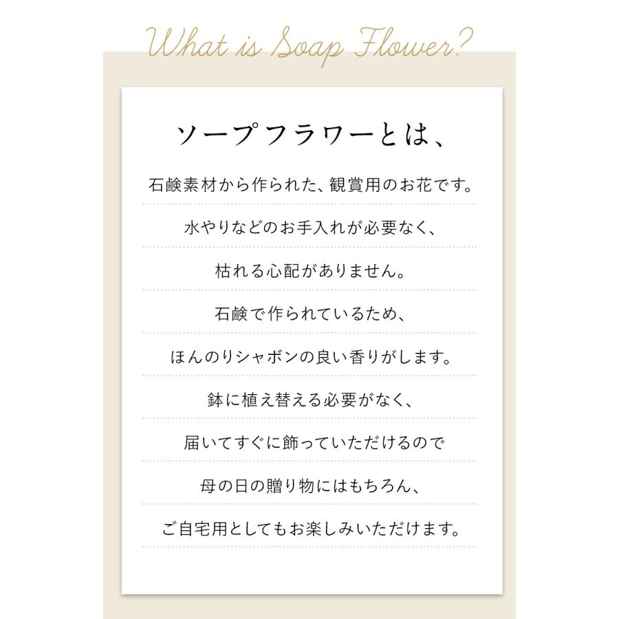 ソープフラワー ボックス フラワーボックス 母の日 2025 誕生日 プレゼント 女性 ギフト 花 結婚祝い お花 お祝い おしゃれ フラワーギフト 柊 |  | 08