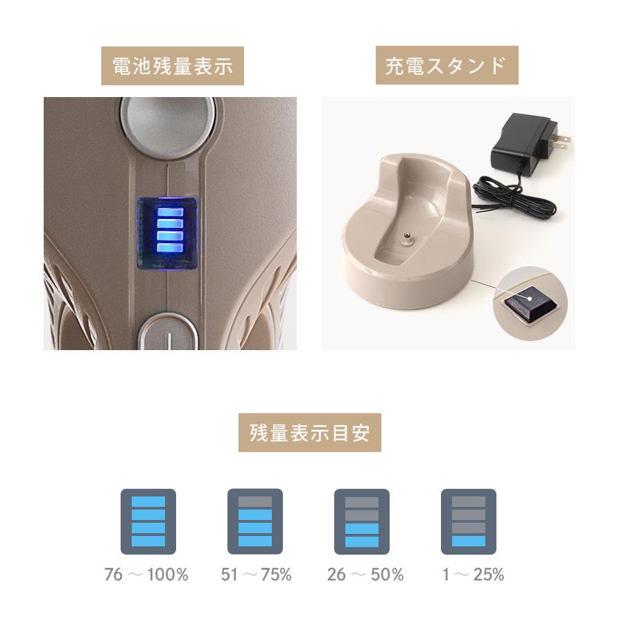 ハンディクリーナー 掃除機 【 ハンディータイプ 】 コードレス 充電式 吸引力 車 軽量 コードレス掃除機 小型 bianca+ ビアンカプラス 柊 | bianca＋ | 16