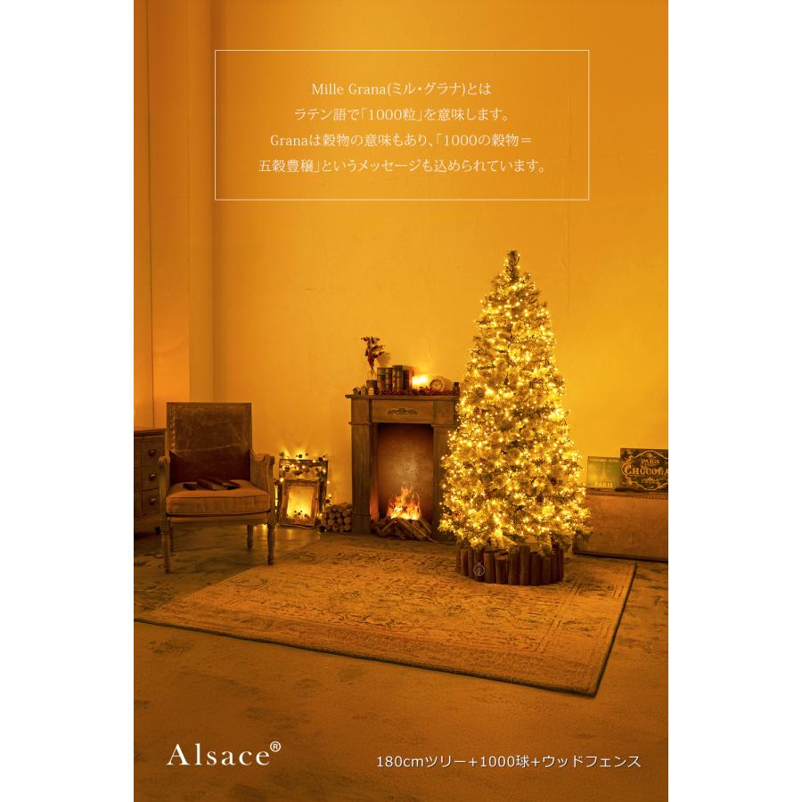 Candor 【公式 Alsace(R) 正規品】 1000球 LED イルミネーション Mille