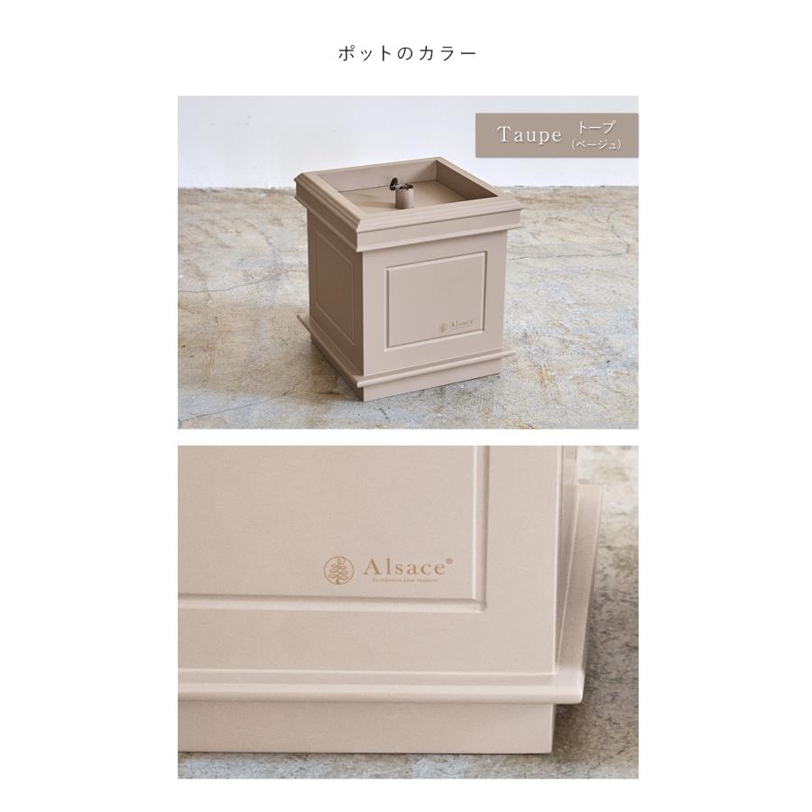 【公式 Alsace(R) 正規品】 ポットツリー Coffret(コフレ) & Noblesse(ノブレス) 2026ver. 150cm 180cm クリスマスツリー 樅 スノーツリー アルザスツリー | Alsace | 09