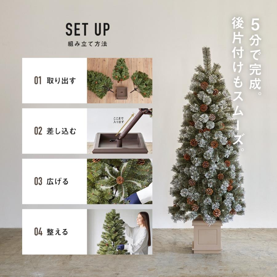 Alsace 【公式 Alsace(R) 正規品】 ポットツリー Coffret(コフレ