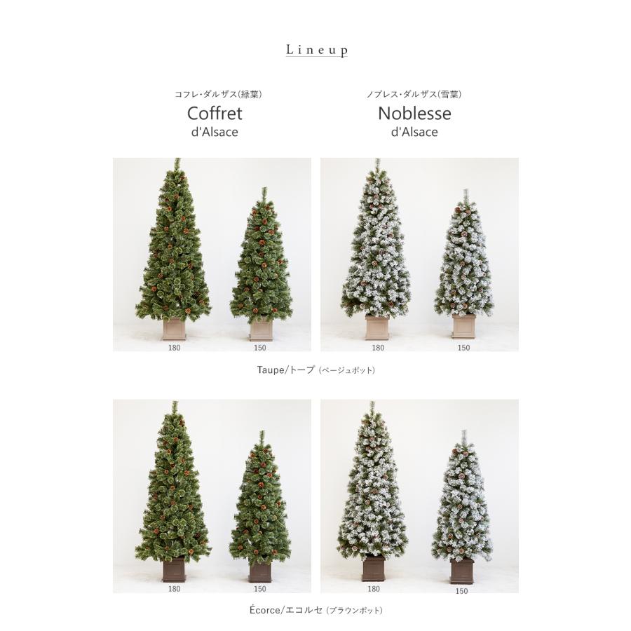 【公式 Alsace(R) 正規品】 ポットツリー Coffret(コフレ) & Noblesse(ノブレス) 2026ver. 150cm 180cm クリスマスツリー 樅 スノーツリー アルザスツリー | Alsace | 03