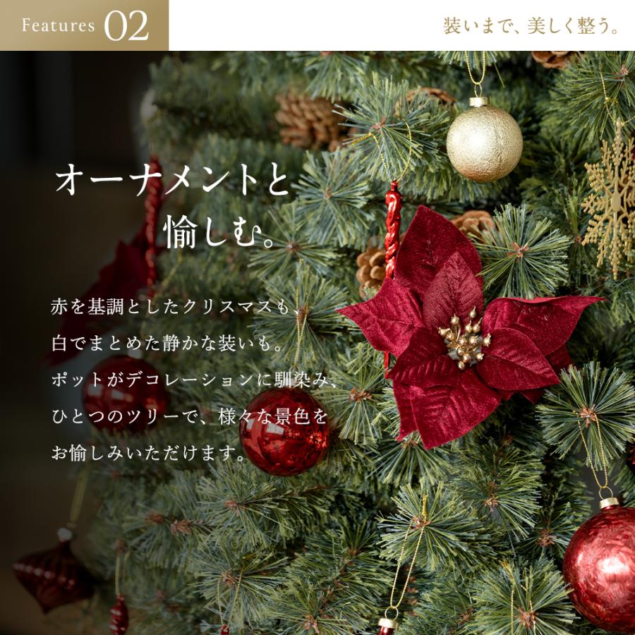 Alsace 【公式 Alsace(R) 正規品】 ポットツリー Coffret(コフレ