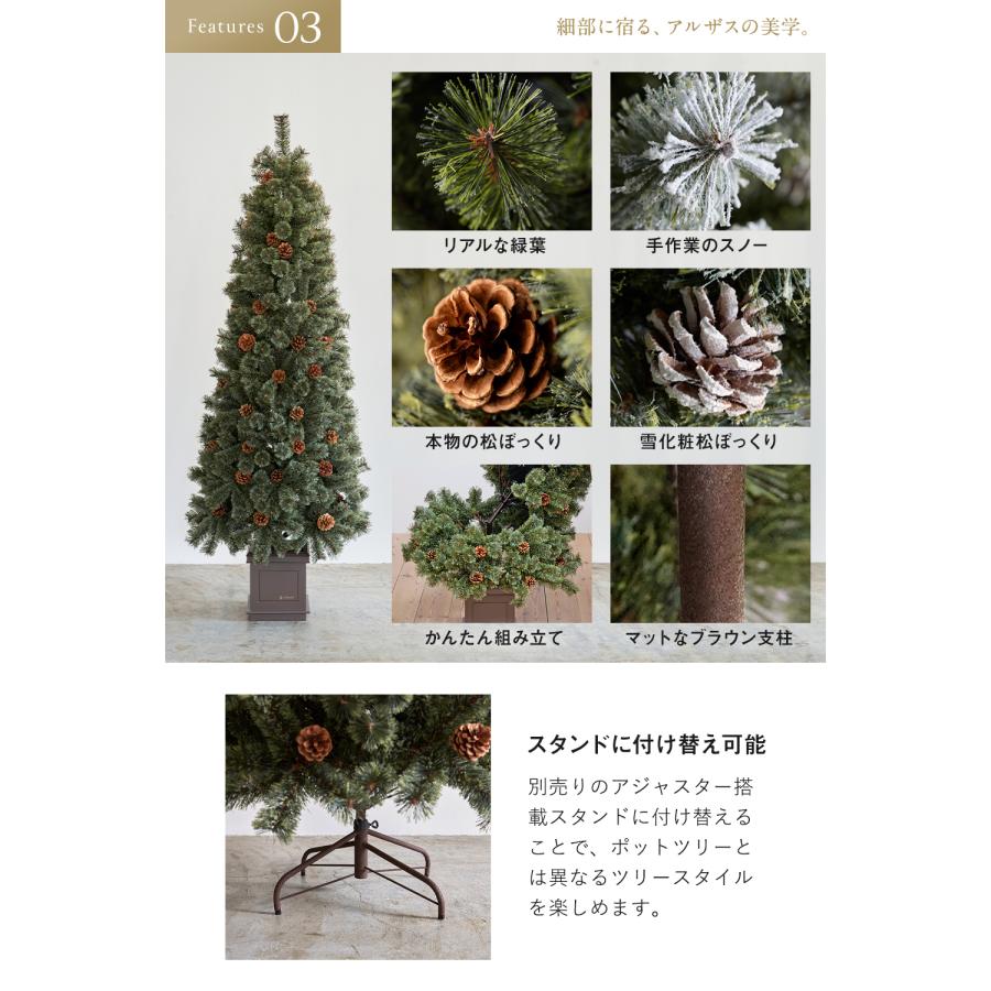 Alsace 【公式 Alsace(R) 正規品】 ポットツリー Coffret(コフレ