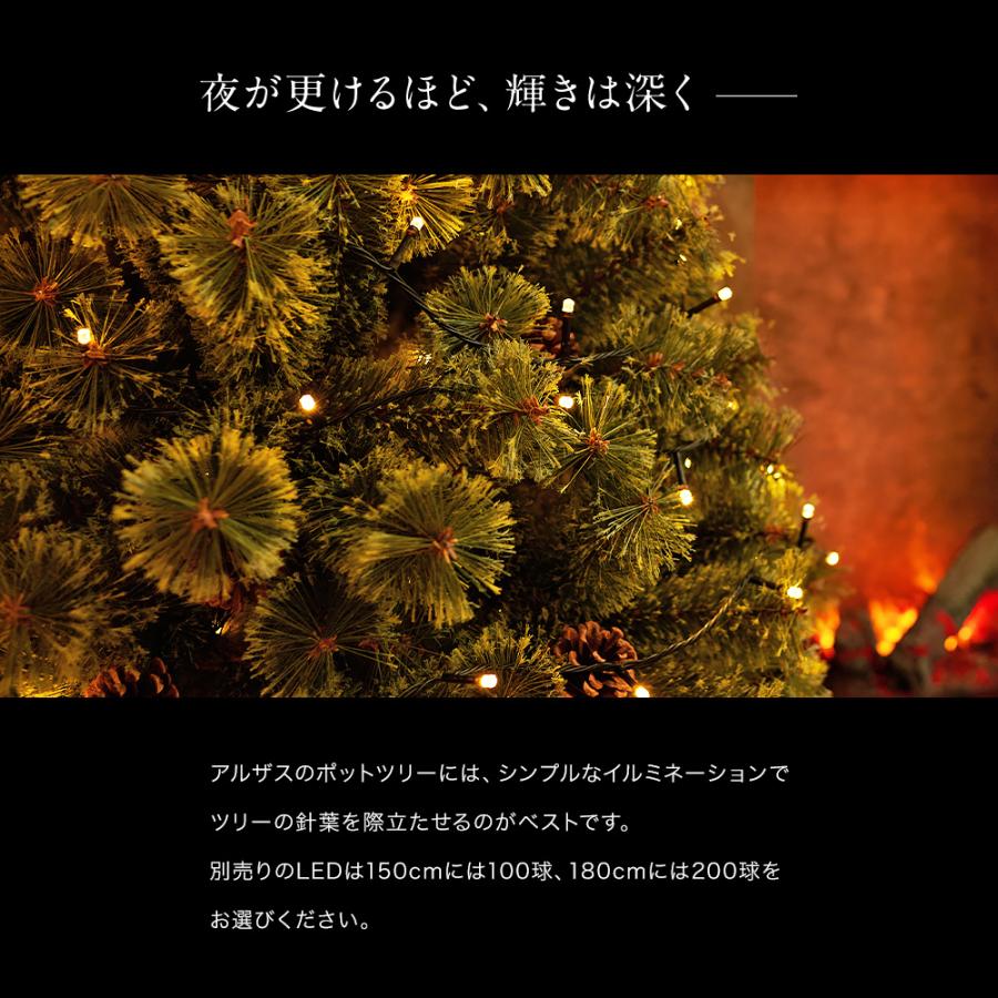 Alsace 【公式 Alsace(R) 正規品】 ポットツリー Coffret(コフレ