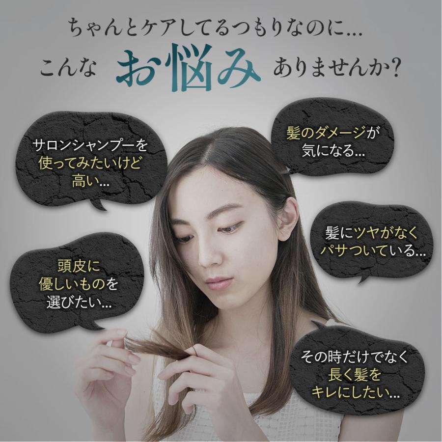 IKUE 幾重 プレミアム シャンプー＆トリートメント500ml セット 高級感