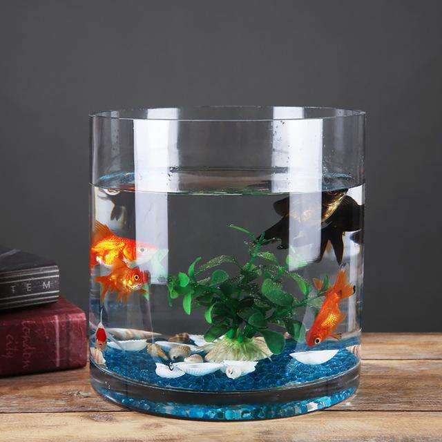 早割クーポン 円筒形水槽 シンプル リビングルーム ガラス 垂直 水族館 30x30x40cm 25x25x50cm 年最新海外 Zoetalentsolutions Com