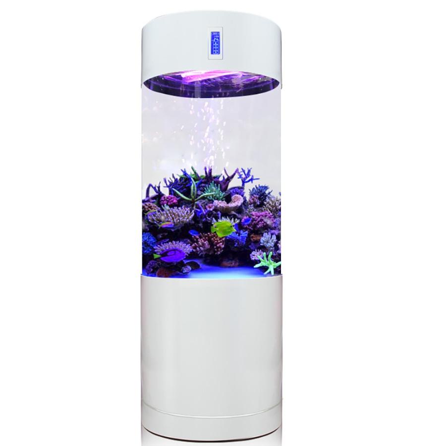 新品即決 大型円柱アクリル水槽 スプリットタイプ アクアリウム Filter On R50cm 140l 爆安プライス Www Mastoremata Gr