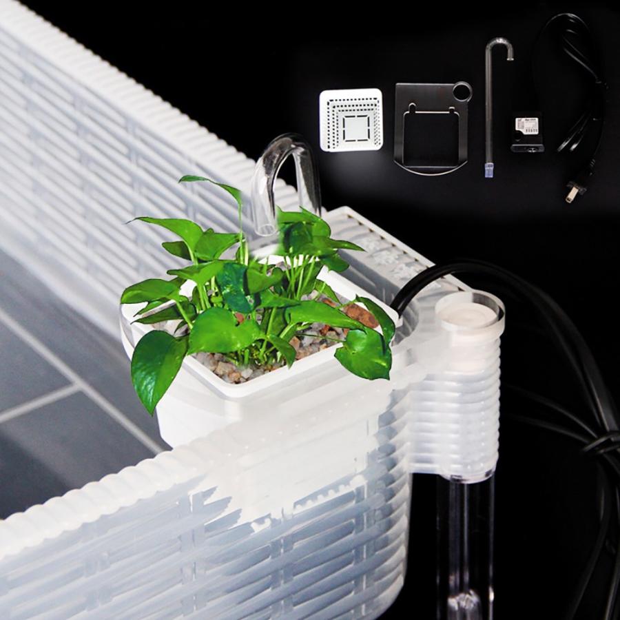 取り外し可能および重ね合わせ可能な魚の水槽亀の水槽水族館のエビの水槽亀の繁殖水槽 Fish Tank 40x29x13cm Fro Dlo 2308 ダンデライオン ヤフー店 通販 Yahoo ショッピング