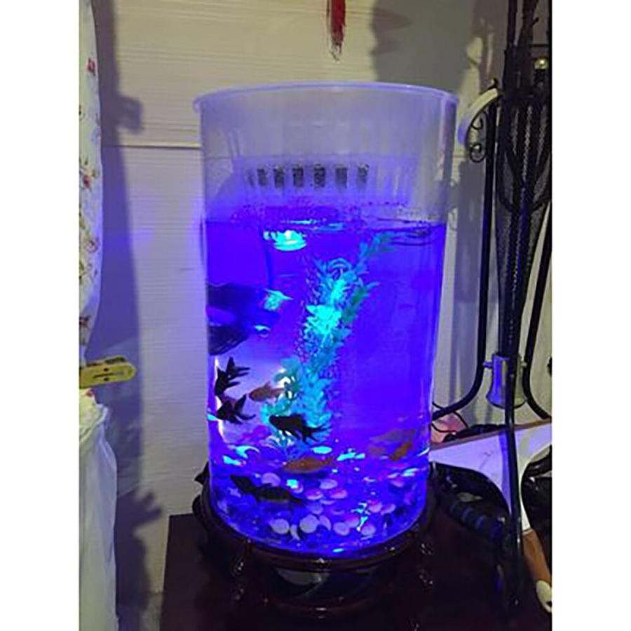 円筒形の水槽リビングルームガラス垂直水族館中小デスクトップフィルター金魚水槽 Fish Tank Height 95cm Fro Dlo 2343 ダンデライオン ヤフー店 通販 Yahoo ショッピング
