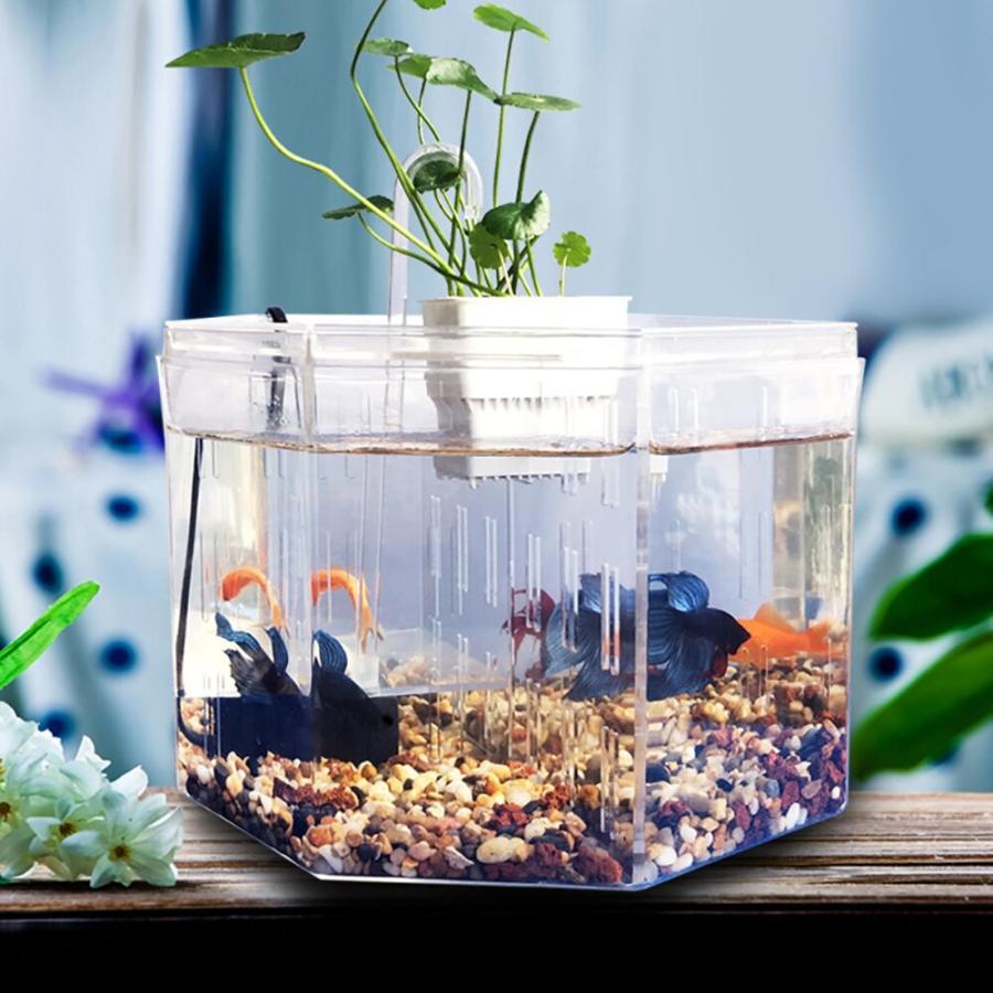 4グリッド無料水槽魚タンクアクリルデスクトップミニ魚タンク戦闘魚隔離ボックス Fish Tank 23x23x16cm Fro Dlo ダンデライオン ヤフー店 通販 Yahoo ショッピング