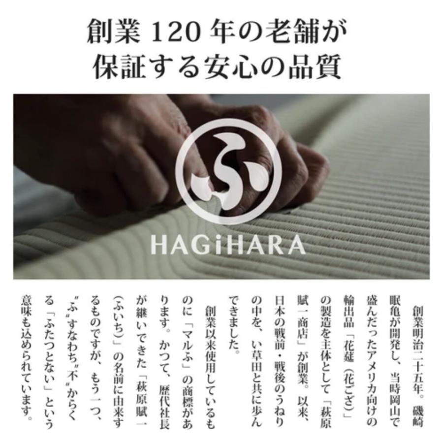 《 9枚セット 》 間があきにくい置き畳 フラッタ 滑り止め付き「四季」ブラウン  【メダリオン】 萩原 140166731