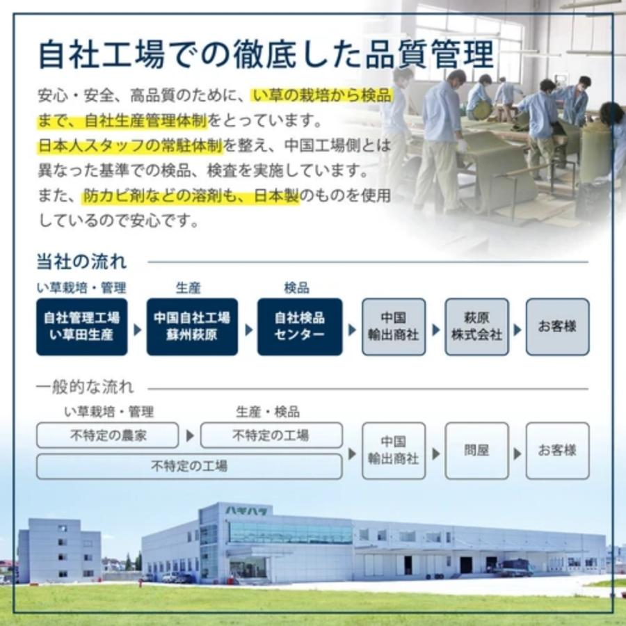 《 9枚セット 》 間があきにくい置き畳 フラッタ 滑り止め付き「四季」ブラウン  【メダリオン】 萩原 140166731