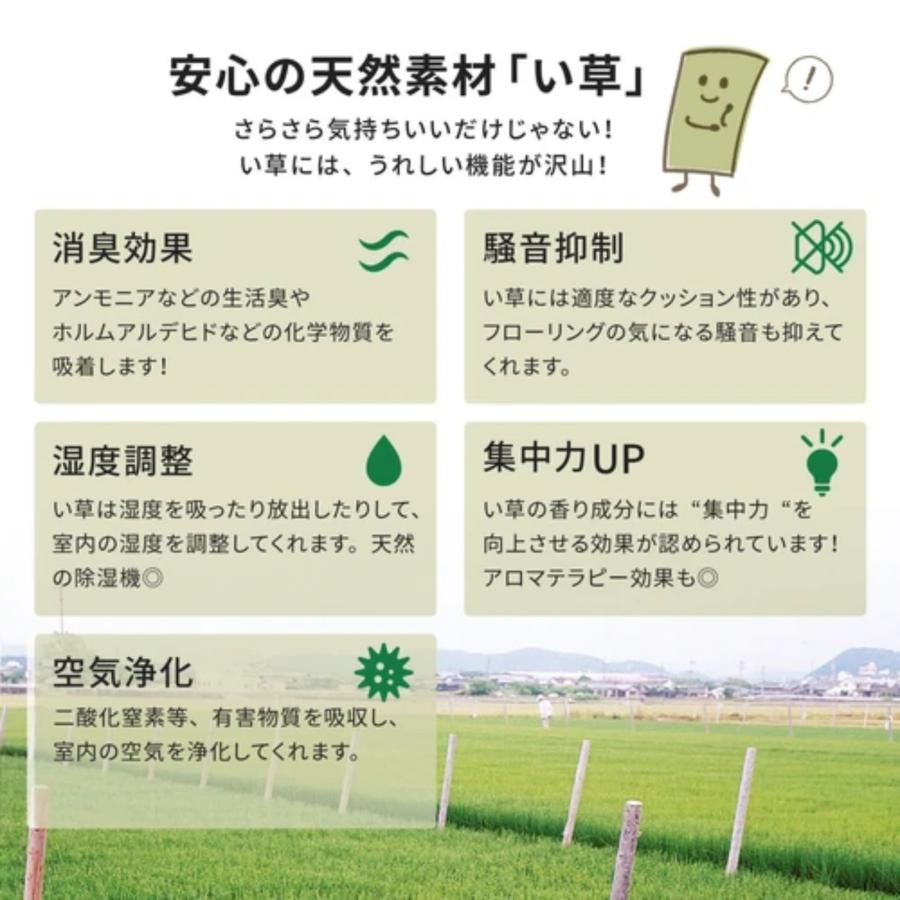 HAGiHARA 江戸間10畳 い草 おもてなし上敷き 「雅(みやび HAGiHARA 江戸間10畳 い草 おもてなし上敷き 「雅(みやび