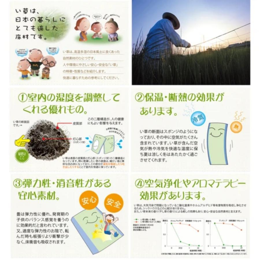 HAGiHARA 本間6畳 畳式上敷き 両面使用OK 「鷲羽(裏貼りなし HAGiHARA 本間6畳 畳式上敷き 両面使用OK 「鷲羽(裏貼りなし