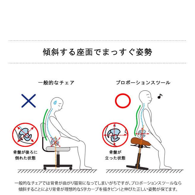 座面が全方位に8度傾斜するデザインのプロポーションスツール ゆらゆら動くことで背中や腰の筋肉を使い運動ができて脳が活性化 ロータイプ CH-800L 宮武製作所｜dm-interior｜13