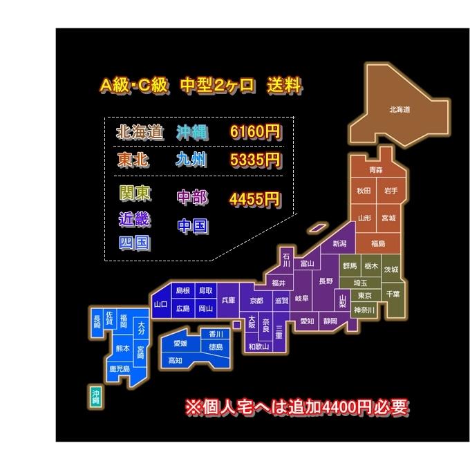 DMDヒッチ　キャラバン26・ＮＶ350ワイド　Ｃ級　2本出しキャリア　CR26-2C-2