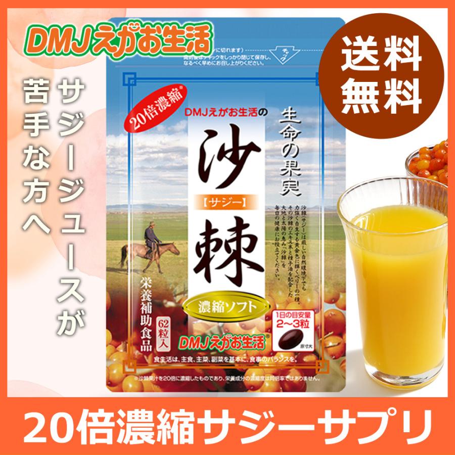 サジー サプリ サジー20倍濃縮ソフト 31日分 サジーサプリ サジー