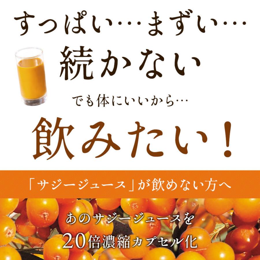 サジー20倍濃縮ソフト 10袋集中ケアセット 15％OFF DMJえがお生活 31日分 日本製 サジージュース 沙棘ジュース サジー サプリ シーベリー シーバックソーンの画像