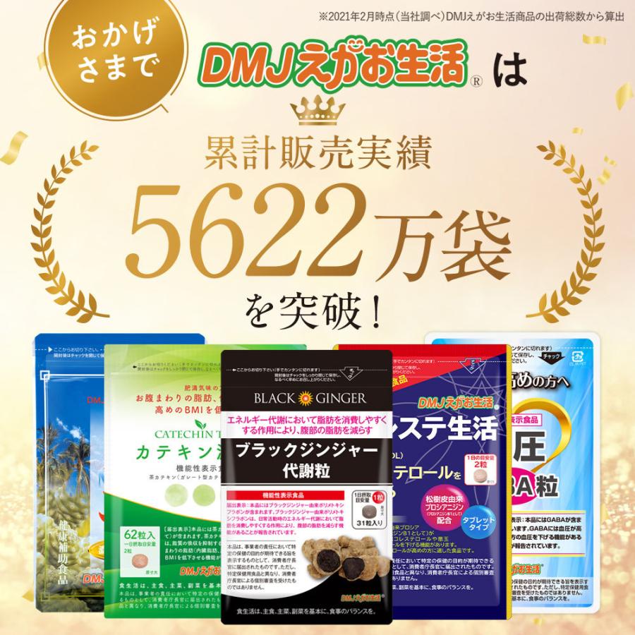 サジー20倍濃縮ソフト 10袋集中ケアセット 15％OFF DMJえがお生活 31日分 日本製 サジージュース 沙棘ジュース サジー サプリ シーベリー シーバックソーンの画像