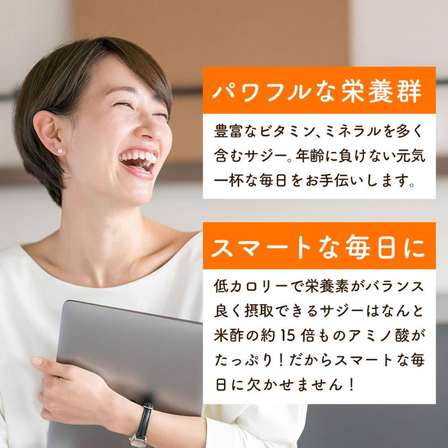 サジー20倍濃縮ソフト 10袋集中ケアセット 15％OFF DMJえがお生活 31日分 日本製 サジージュース 沙棘ジュース サジー サプリ シーベリー シーバックソーンの画像
