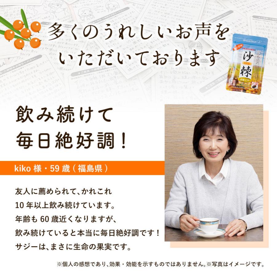 サジー20倍濃縮ソフト 6袋集中ケアセット 10％OFF DMJえがお生活 31日分 日本製 サジージュース 沙棘ジュース サジー サプリ シーベリー シーバックソーンの画像