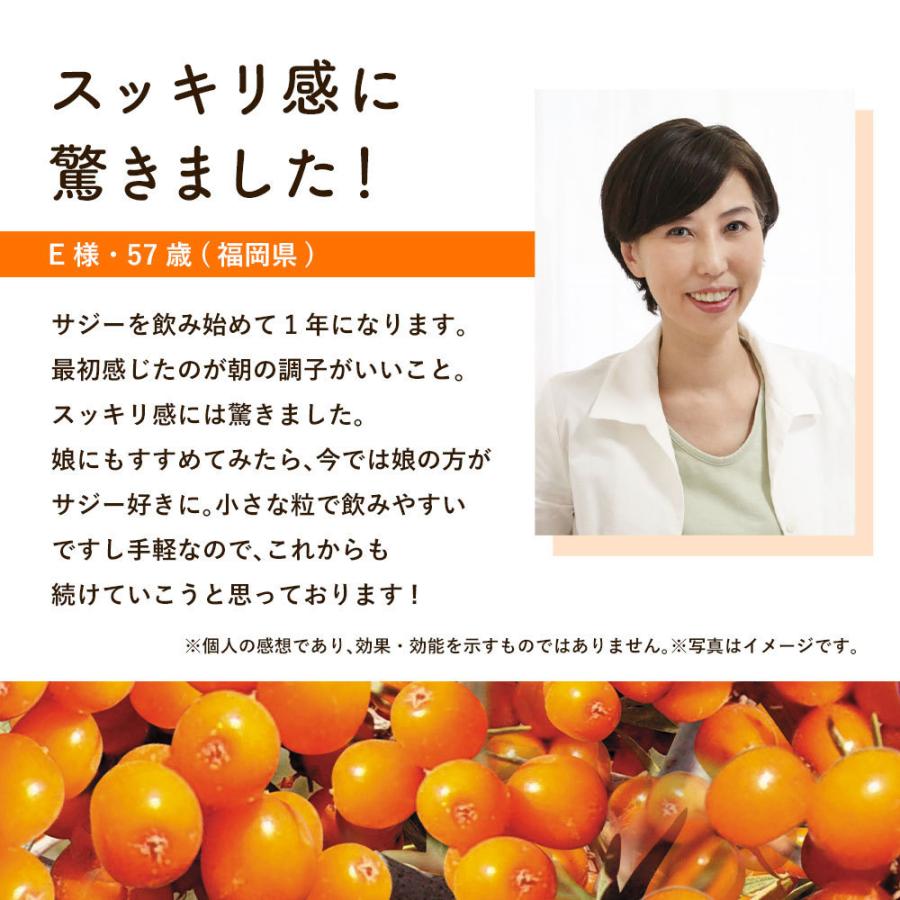 サジー20倍濃縮ソフト 6袋集中ケアセット 10％OFF DMJえがお生活 31日分 日本製 サジージュース 沙棘ジュース サジー サプリ シーベリー シーバックソーンの画像