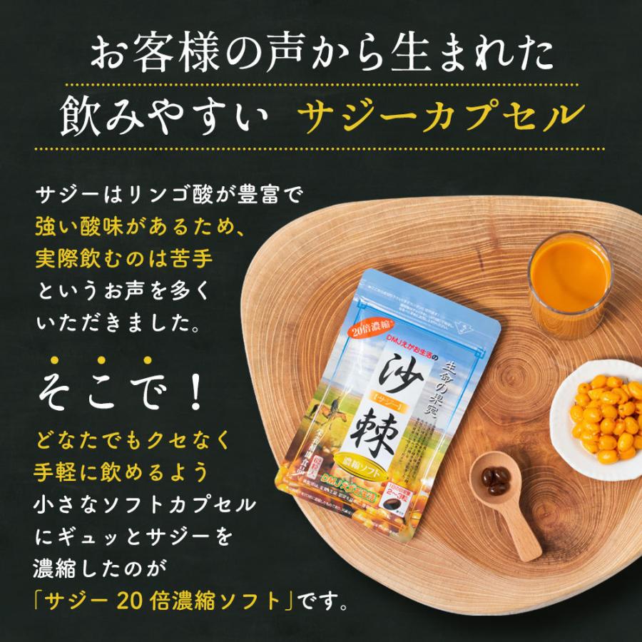 サジー20倍濃縮ソフト 6袋集中ケアセット 10％OFF DMJえがお生活 31日分 日本製 サジージュース 沙棘ジュース サジー サプリ シーベリー シーバックソーンの画像