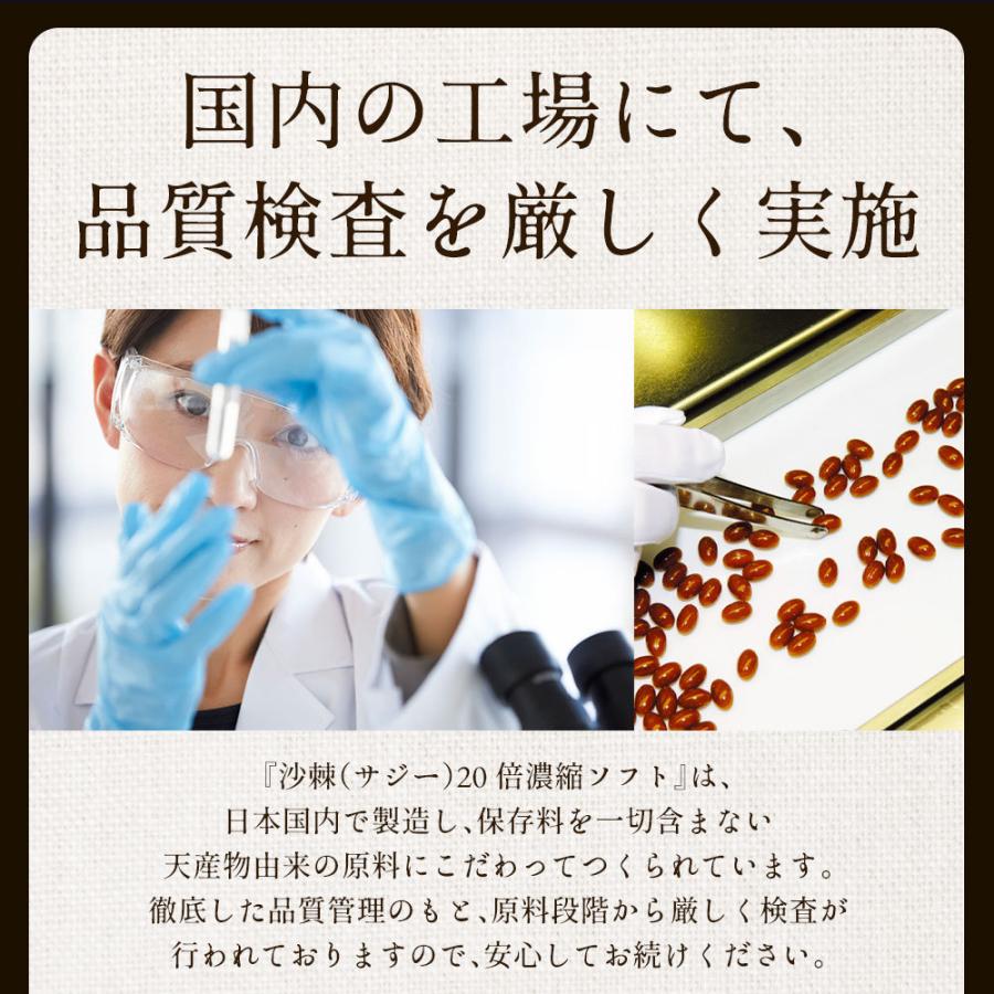 サジー20倍濃縮ソフト 6袋集中ケアセット 10％OFF DMJえがお生活 31日分 日本製 サジージュース 沙棘ジュース サジー サプリ シーベリー シーバックソーンの画像