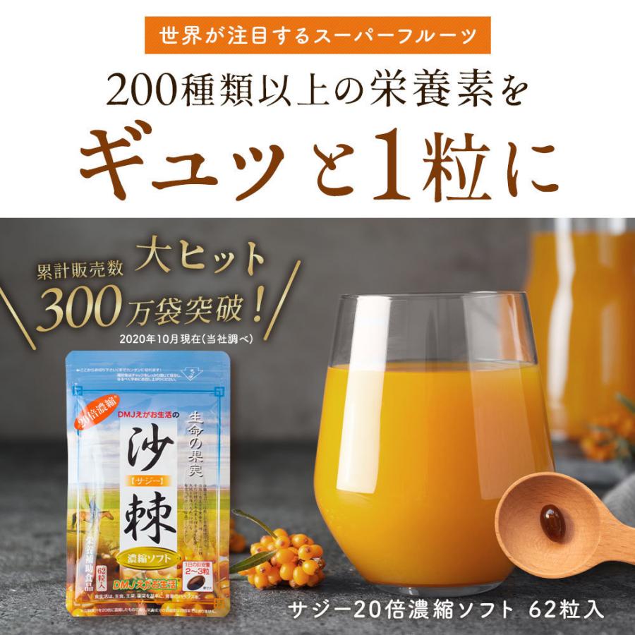 サジー20倍濃縮ソフト 6袋集中ケアセット 10％OFF DMJえがお生活 31日分 日本製 サジージュース 沙棘ジュース サジー サプリ シーベリー シーバックソーンの画像