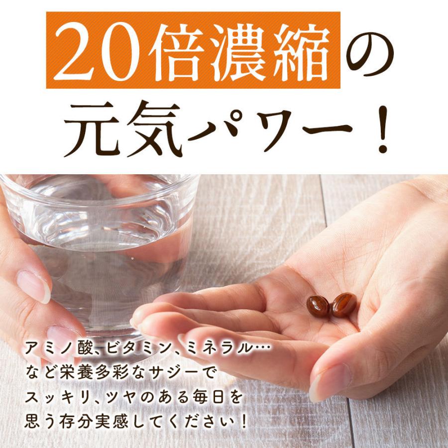 サジー20倍濃縮ソフト 6袋集中ケアセット 10％OFF DMJえがお生活 31日分 日本製 サジージュース 沙棘ジュース サジー サプリ シーベリー シーバックソーンの画像