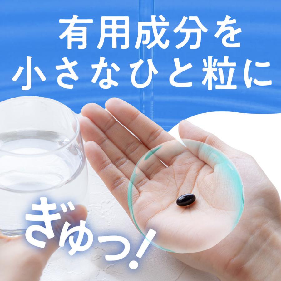 金時ショウガもろみ酢濃密ソフト31日分 DMJえがお生活 しょうが