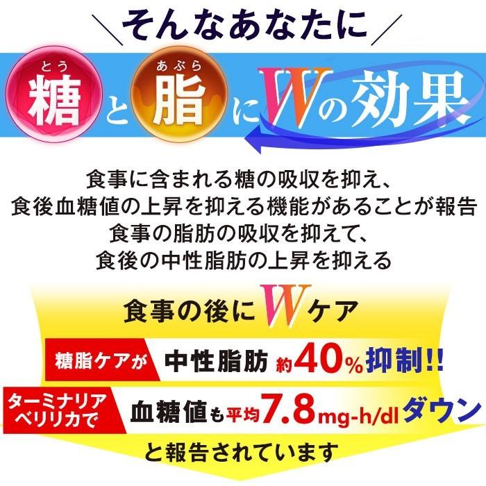 全てのアイテム全てのアイテム糖脂ケア 10袋集中ケアセット サプリメント サプリ 血糖値を下げる 血糖値 中性脂肪を下げる 中性脂肪 下げる 中性脂肪を下げるには  健康 DMJえがお生活 その他サプリメント