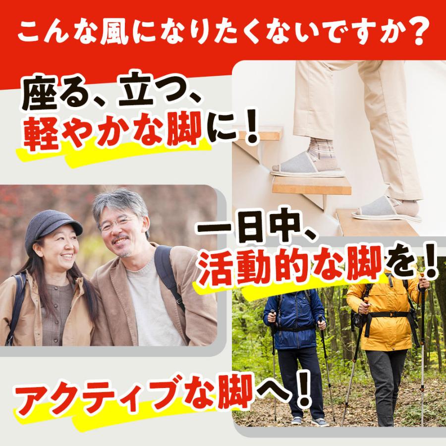 ロコヘルプEX DMJえがお生活 ロコヘルプEX 31粒 ブラックジンジャー