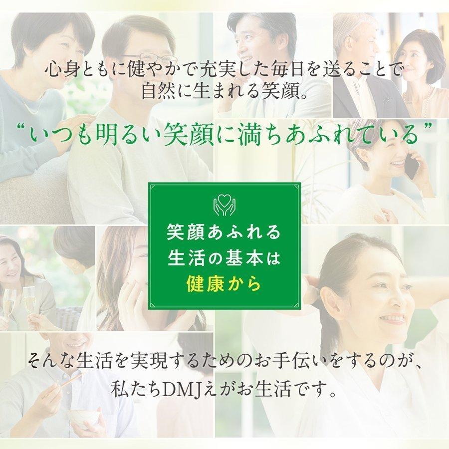 DMJえがお生活 カテキンサプリ 1か月分 カテキン減脂粒 内臓脂肪