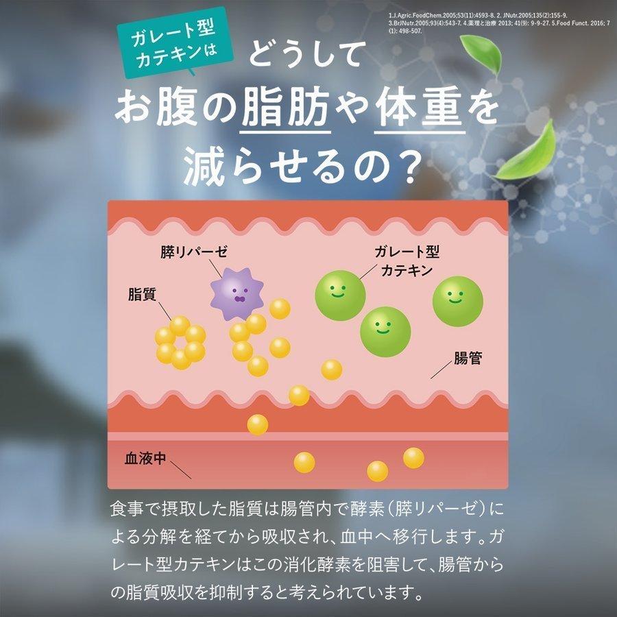 カテキンサプリ 1か月分 カテキン減脂粒 内臓脂肪 減らす サプリ 内臓脂肪を減らす サプリメント 皮下脂肪 おなかの脂肪が気になる タブレット｜dmjegao｜03