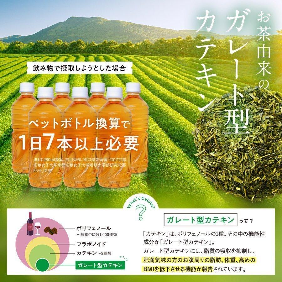 DMJえがお生活 【公式】 カテキン減脂粒 カテキンサプリ 茶カテキン