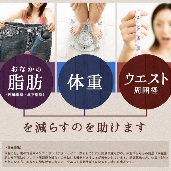 DMJえがお生活 【公式】 葛の花減脂粒 イソフラボン 葛の花