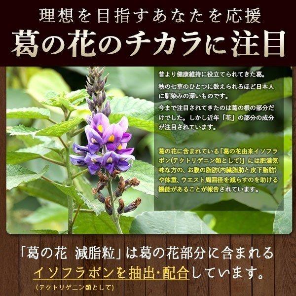 DMJえがお生活 【公式】 葛の花減脂粒 イソフラボン 葛の花