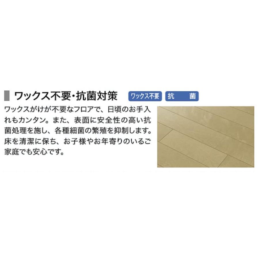 kokoro☆オーダー塗装　12インチ　ダスキーグレー☆ NODA ノダ 12mm クリアシルキーハード（カナエル） CSHS1 送料