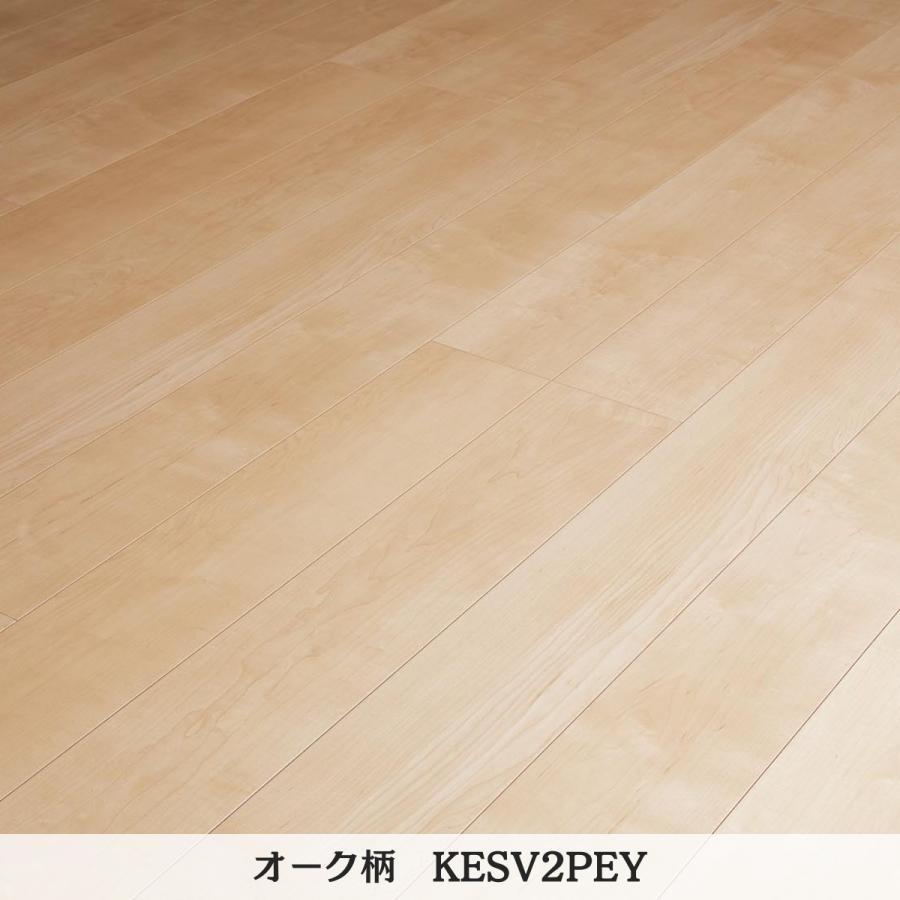 Panasonic（パナソニック） ベリティスフロアー わんにゃんSmile