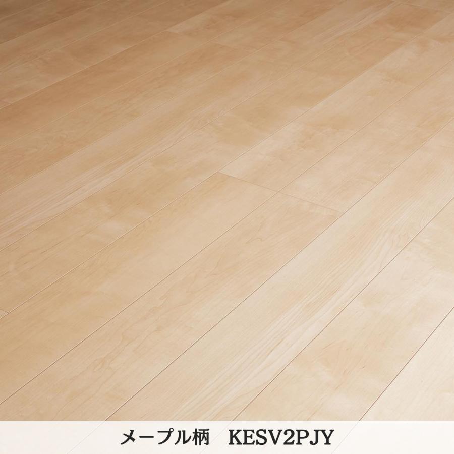 Panasonic（パナソニック） ベリティスフロアー わんにゃんSmile