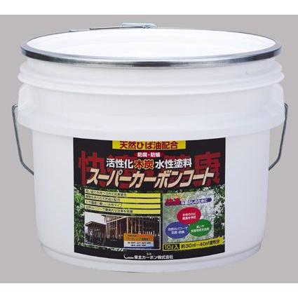 塗装炭 スーパーカーボンコート 10L 送料無料｜dmkenzaiichiba