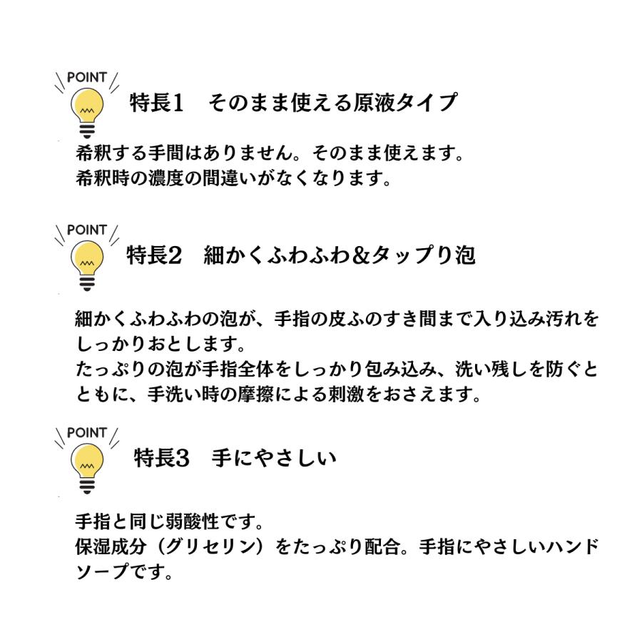 セーフタッチ ハンドソーププラスF 消毒手洗い石けん 5L×2本
