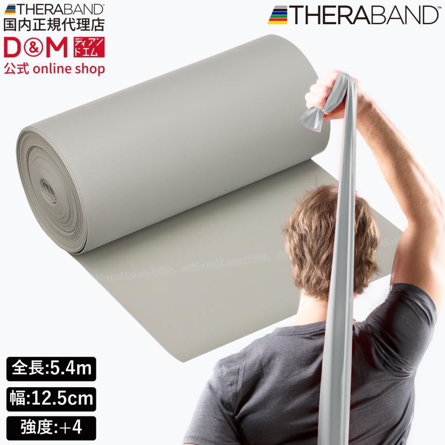 TheraBand トレーニングバンド　銀 THERABAND（セラバンド） トレーニングバンド エクササイズバンド 強度