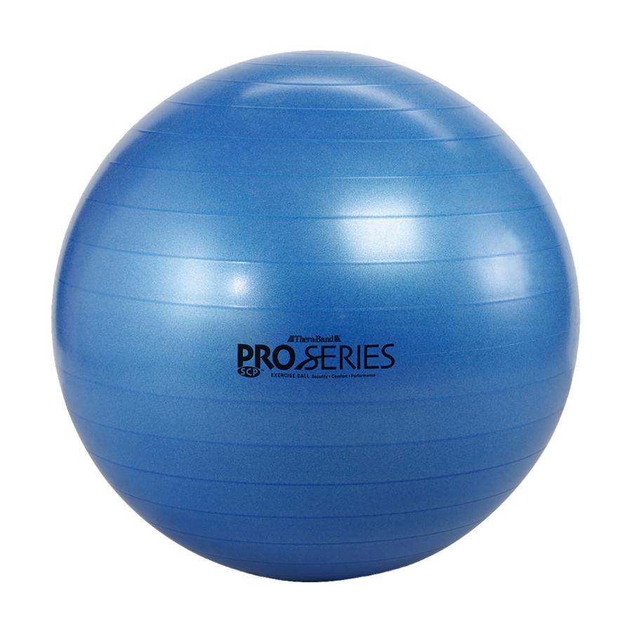 D&M エクササイズボール バランスボール トレーニング用 体幹 リハビリ