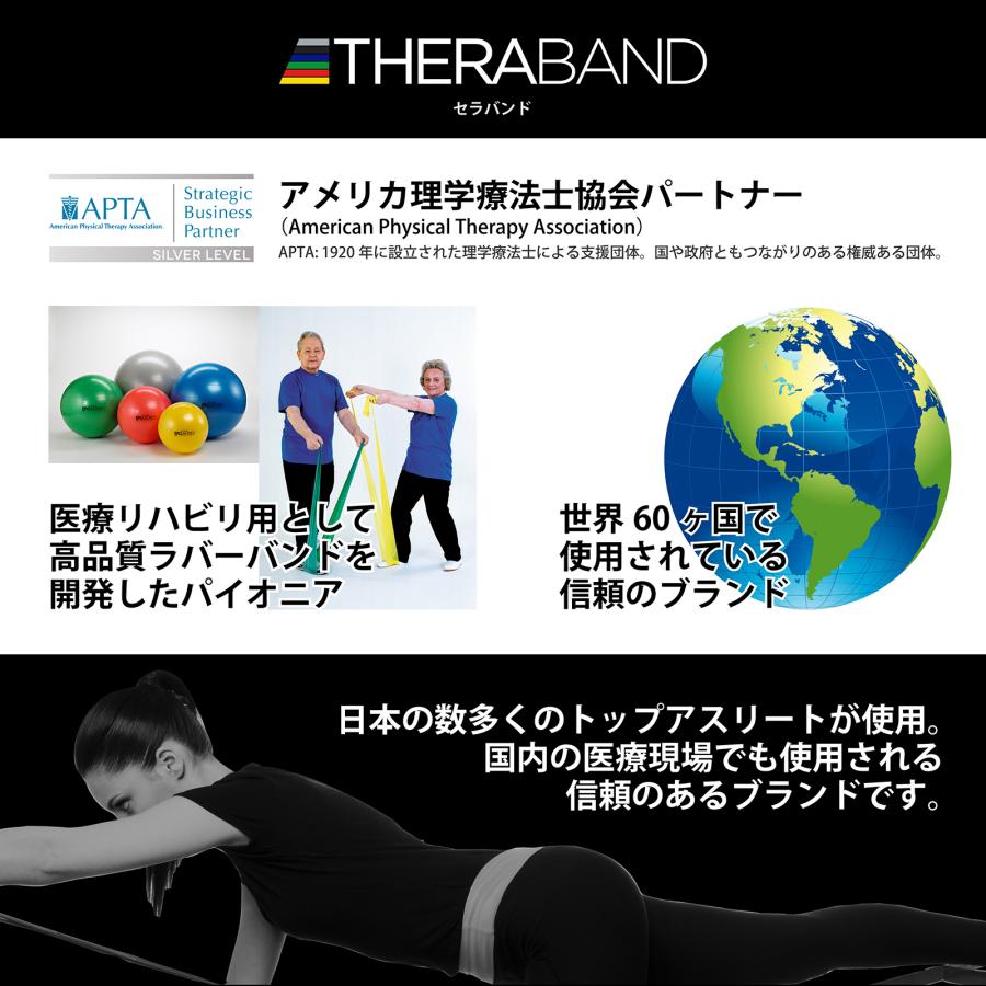 D&M エクササイズボール バランスボール トレーニング用 体幹 リハビリ
