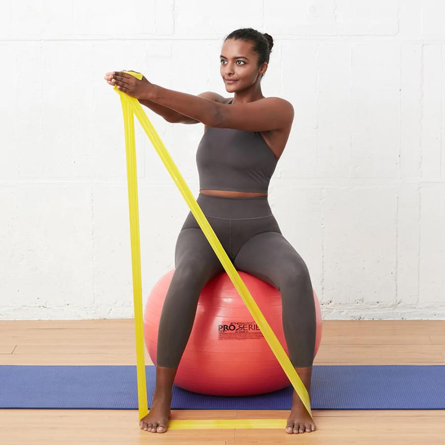 D&M エクササイズボール バランスボール トレーニング用 体幹 リハビリ